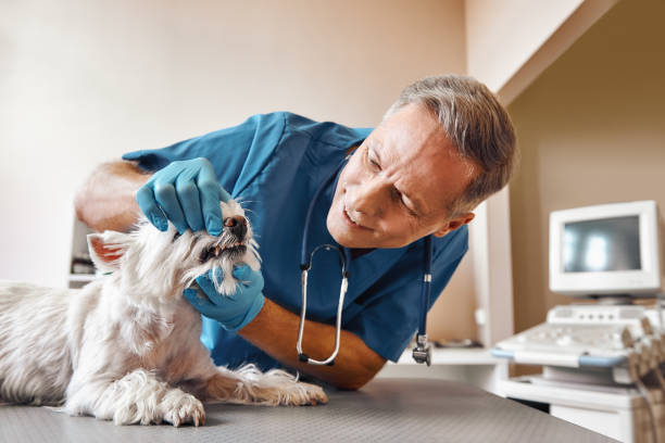 Best Tooth Infection Emergency Dentist  in Inola, OK